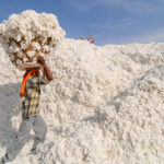 オーガニックコットンから考える、サステナブルな暮らし